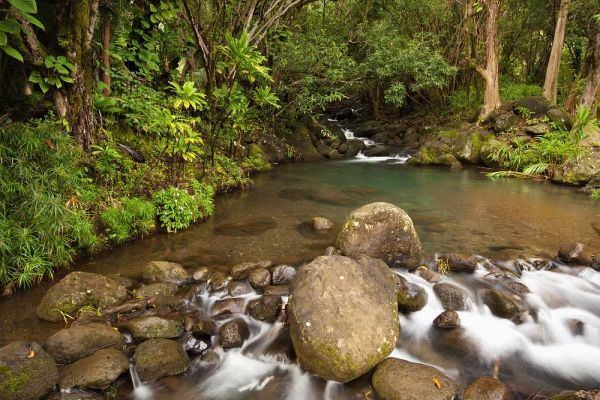 Hawaii, Kauai Creek flowing from a rainforest